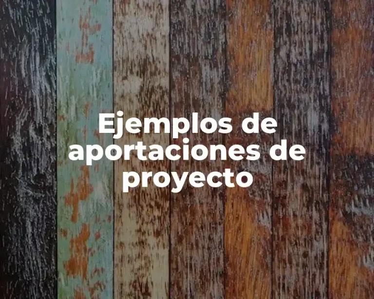Ejemplos de aportaciones de proyecto