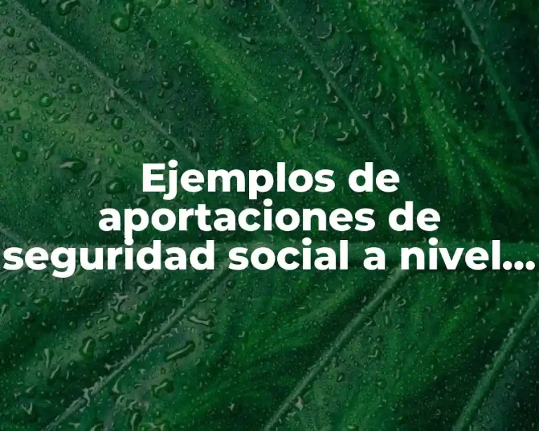 Ejemplos de aportaciones de seguridad social a nivel federal