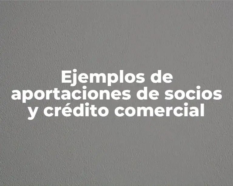 Ejemplos de aportaciones de socios y crédito comercial