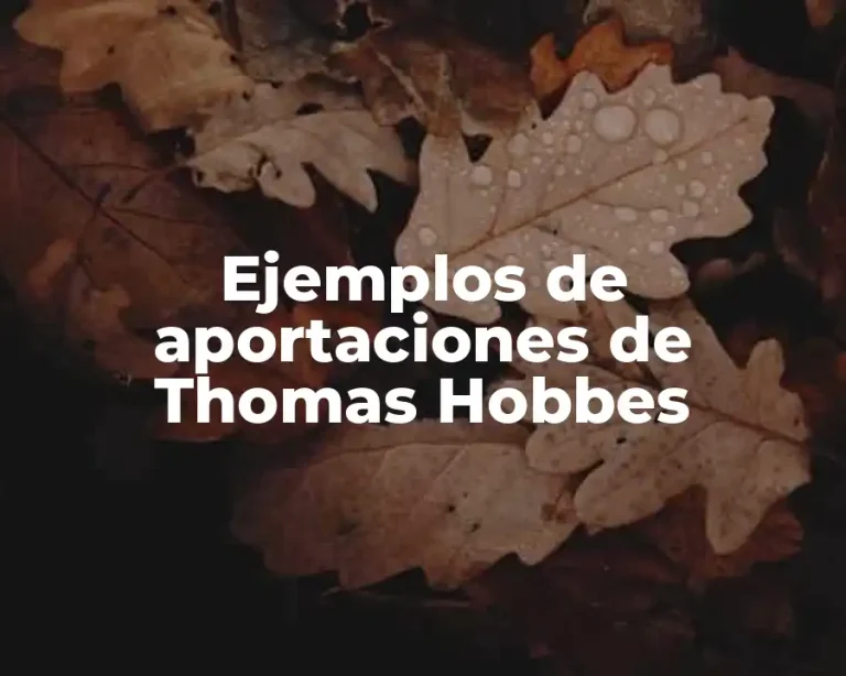 Ejemplos de aportaciones de Thomas Hobbes