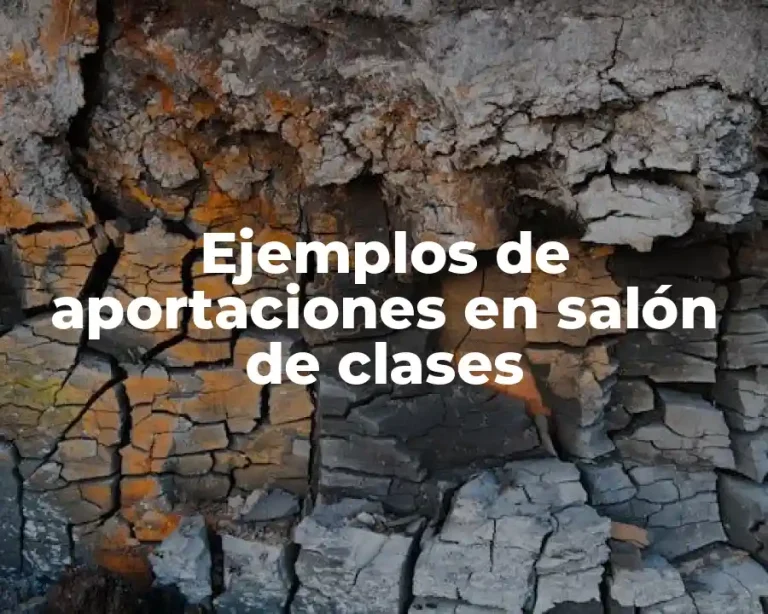 Ejemplos de aportaciones en salón de clases