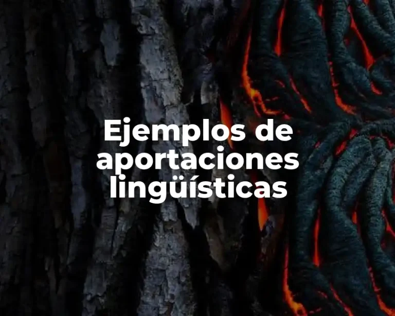 Ejemplos de aportaciones lingüísticas