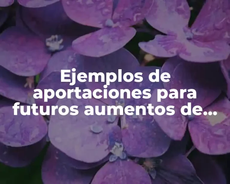 Ejemplos de aportaciones para futuros aumentos de capital