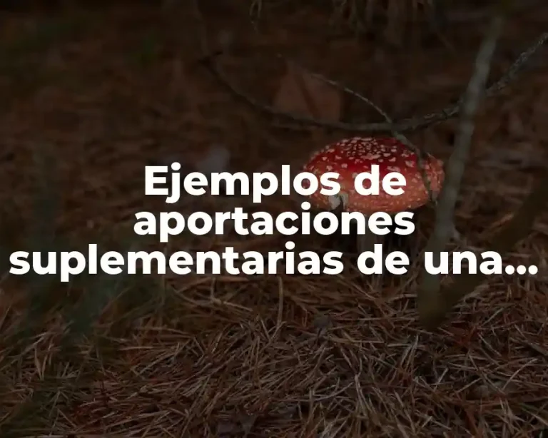 Ejemplos de aportaciones suplementarias de una responsabilidad limitada