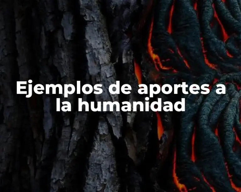 Ejemplos de aportes a la humanidad