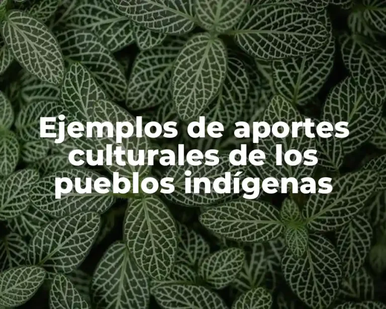 Ejemplos de aportes culturales de los pueblos indígenas