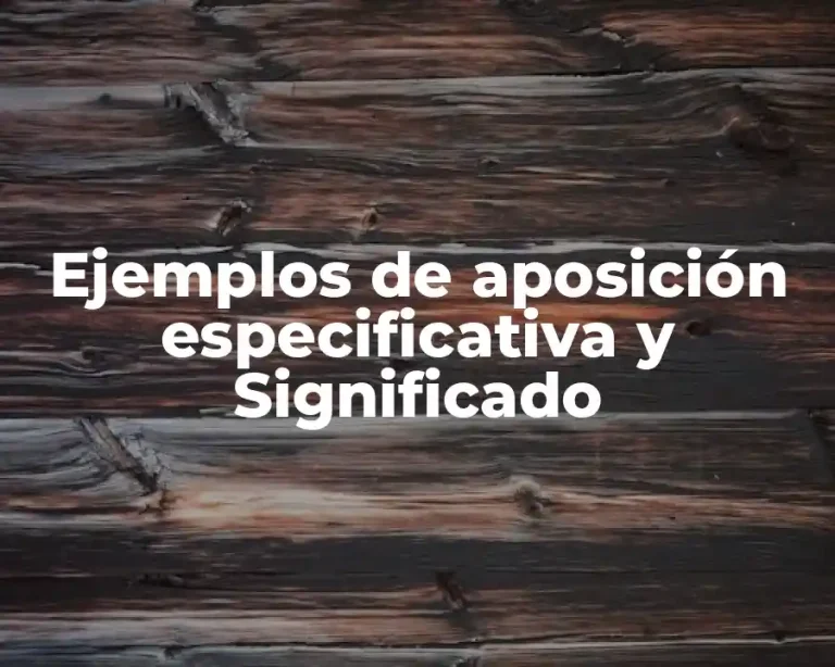 Ejemplos de aposición especificativa y Significado