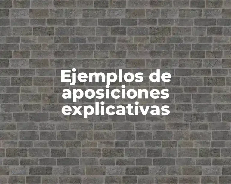 Ejemplos de aposiciones explicativas
