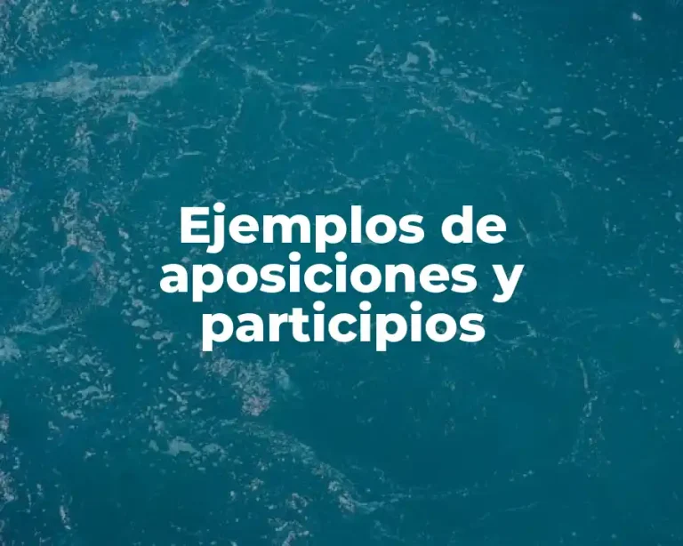 Ejemplos de aposiciones y participios