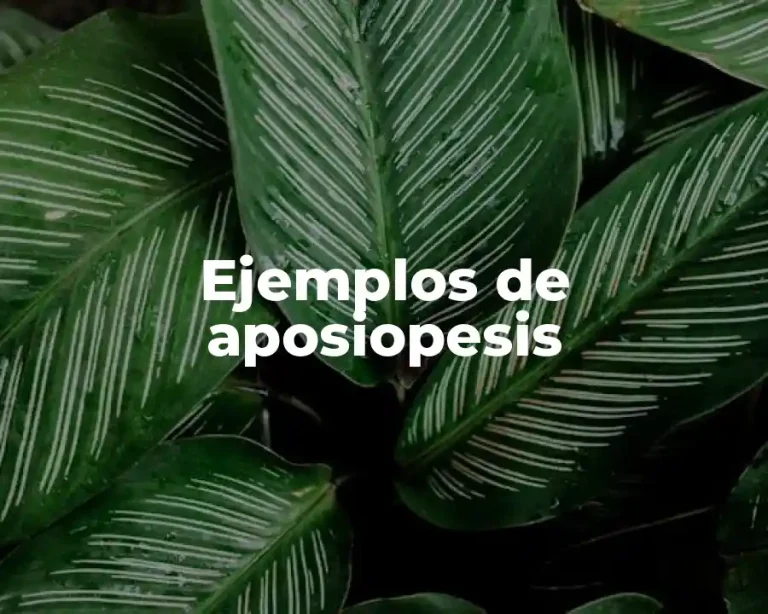 Ejemplos de aposiopesis