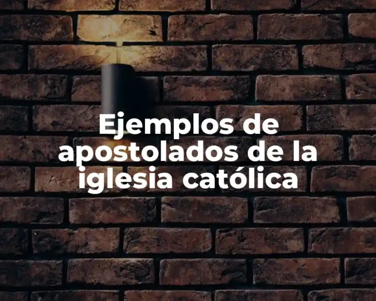 Ejemplos de apostolados de la iglesia católica