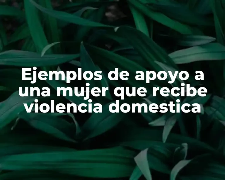 Ejemplos de apoyo a una mujer que recibe violencia domestica