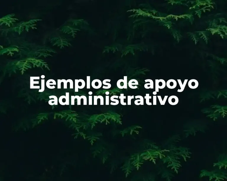 Ejemplos de apoyo administrativo