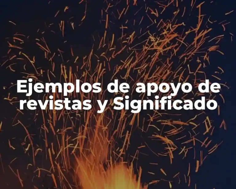 Ejemplos de apoyo de revistas y Significado