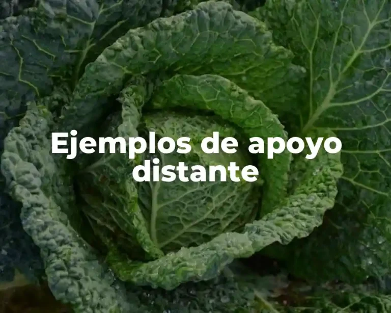 Ejemplos de apoyo distante