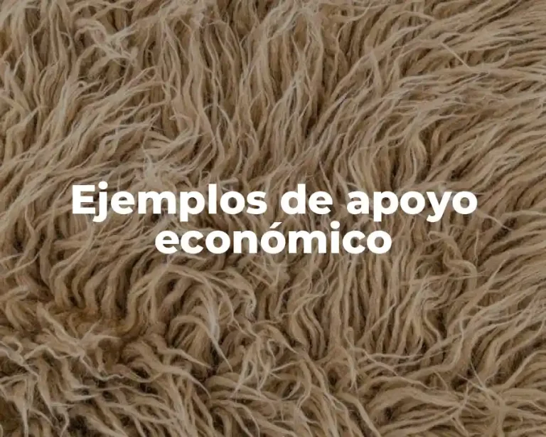 Ejemplos de apoyo económico