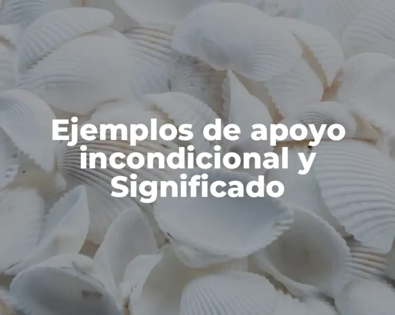 Ejemplos de apoyo incondicional y Significado