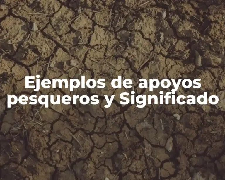 Ejemplos de apoyos pesqueros y Significado