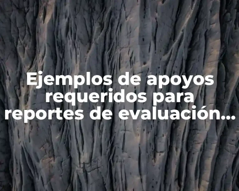 Ejemplos de apoyos requeridos para reportes de evaluación preescolar