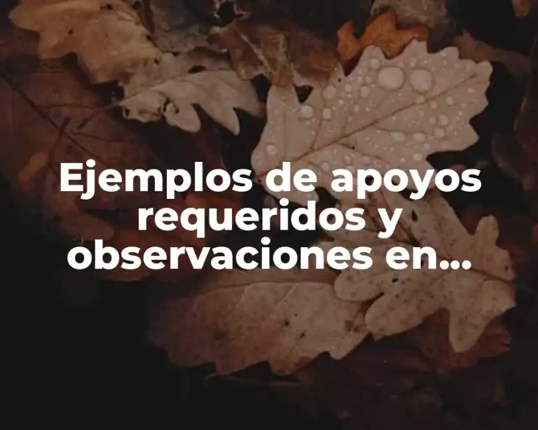 Ejemplos de apoyos requeridos y observaciones en preescolar
