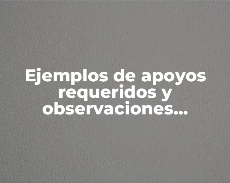 Ejemplos de apoyos requeridos y observaciones generales en primaria