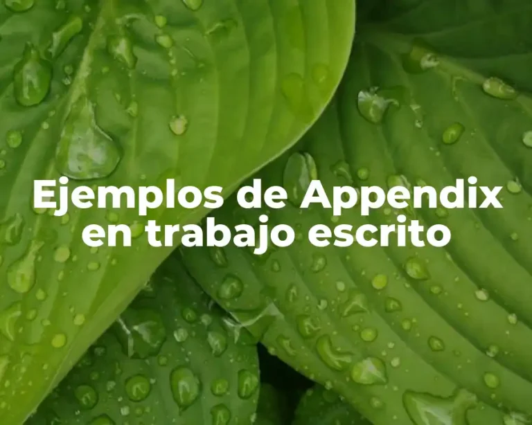 Ejemplos de Appendix en trabajo escrito