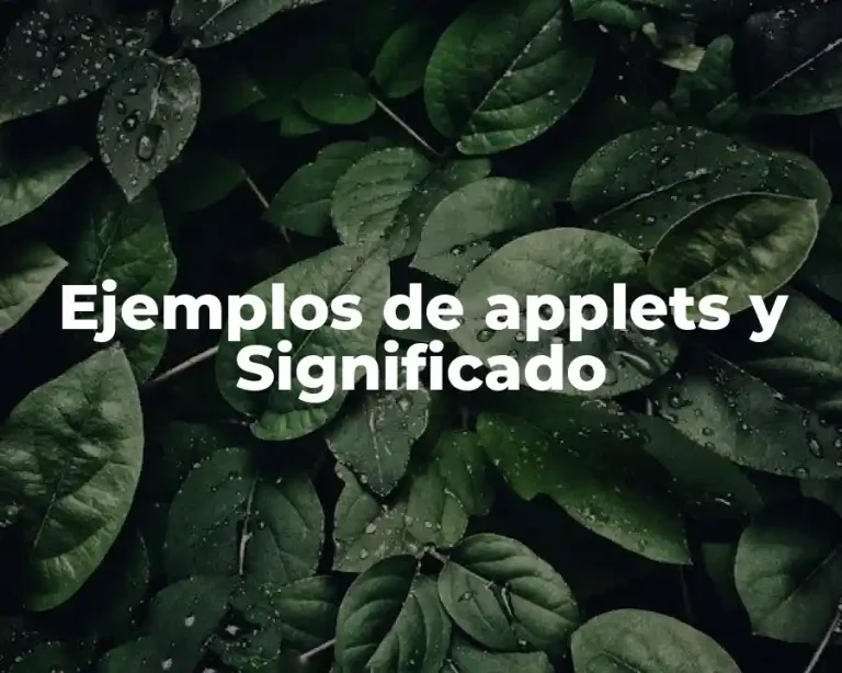 Ejemplos de applets y Significado