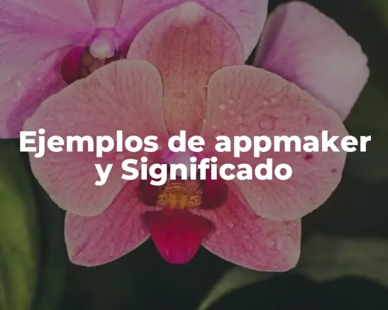 Ejemplos de appmaker y Significado