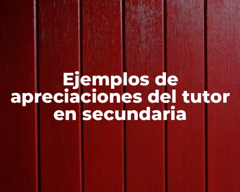 Ejemplos de apreciaciones del tutor en secundaria