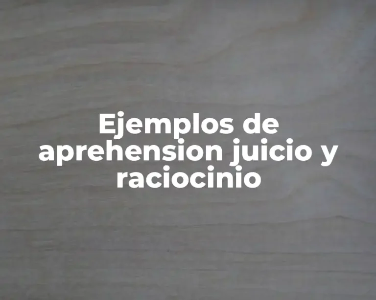 Ejemplos de aprehension juicio y raciocinio