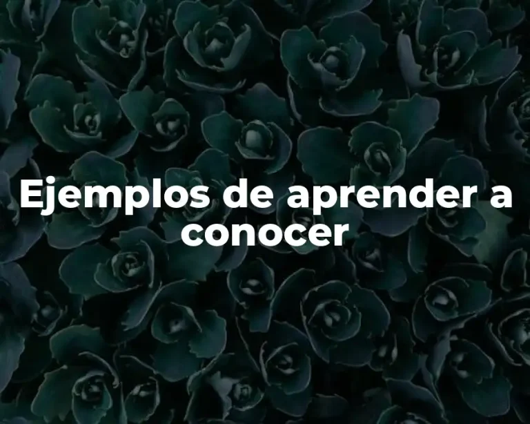 Ejemplos de aprender a conocer
