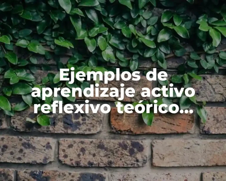 Ejemplos de aprendizaje activo reflexivo teórico pragmático y Significado