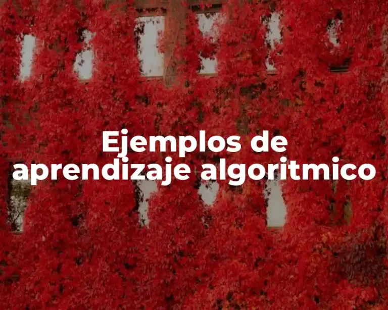 Ejemplos de aprendizaje algoritmico