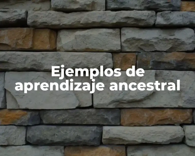 Ejemplos de aprendizaje ancestral