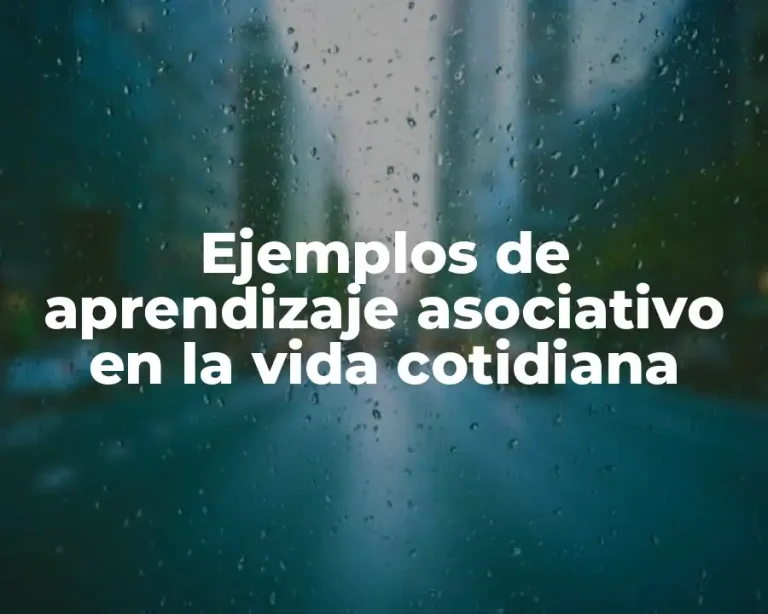 Ejemplos de aprendizaje asociativo en la vida cotidiana