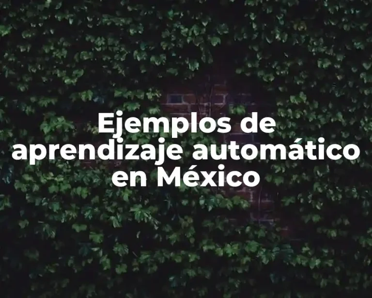 Ejemplos de aprendizaje automático en México