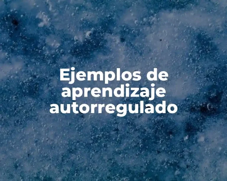 Ejemplos de aprendizaje autorregulado
