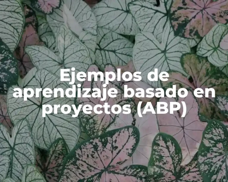 Ejemplos de aprendizaje basado en proyectos (ABP)