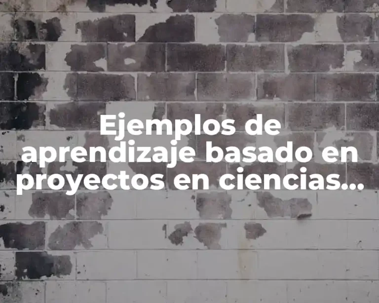 Ejemplos de aprendizaje basado en proyectos en ciencias sociales
