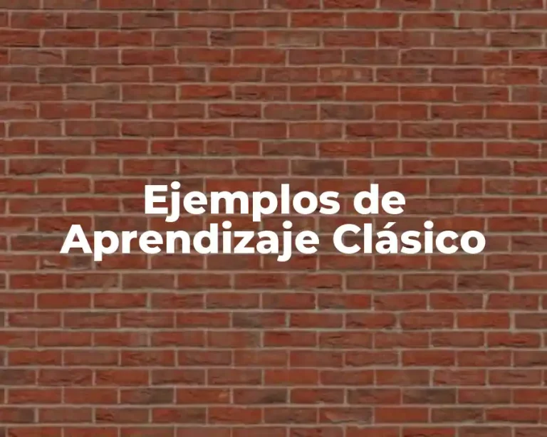 Ejemplos de Aprendizaje Clásico