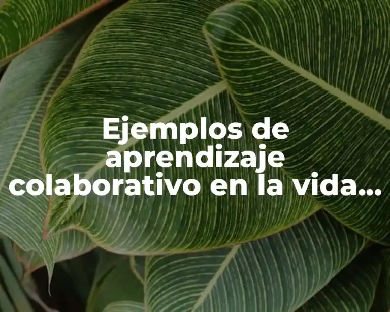 Ejemplos de aprendizaje colaborativo en la vida real