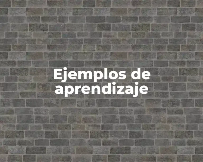 Ejemplos de aprendizaje