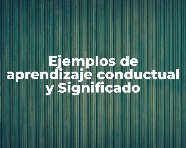 Ejemplos de aprendizaje conductual y Significado