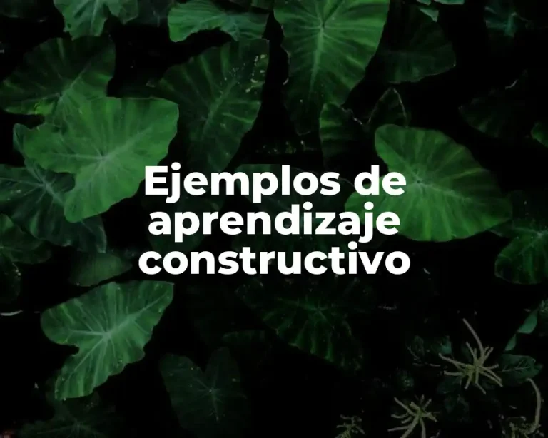 Ejemplos de aprendizaje constructivo