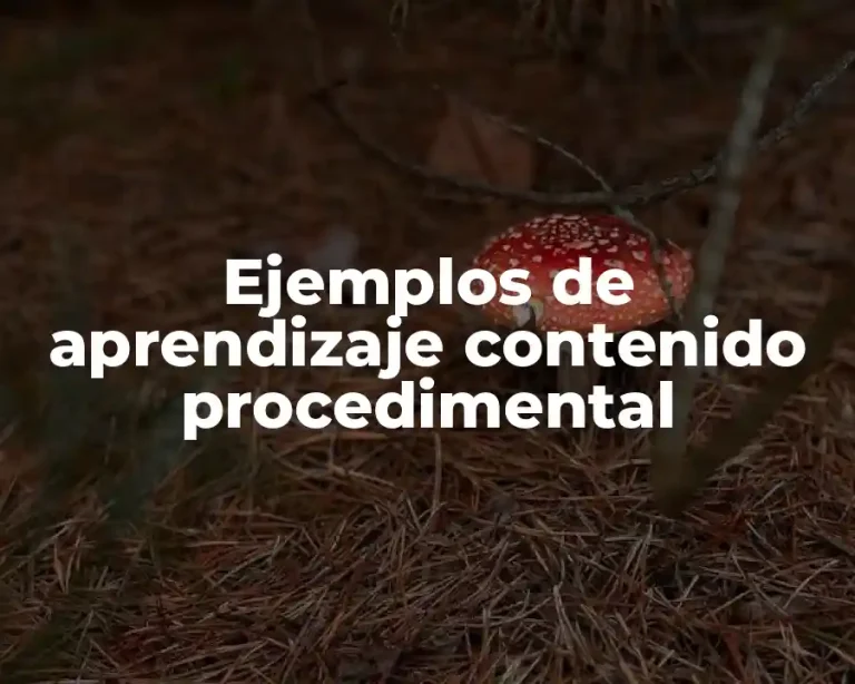Ejemplos de aprendizaje contenido procedimental