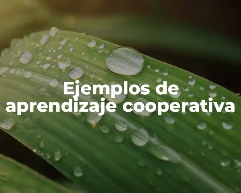 Ejemplos de aprendizaje cooperativa
