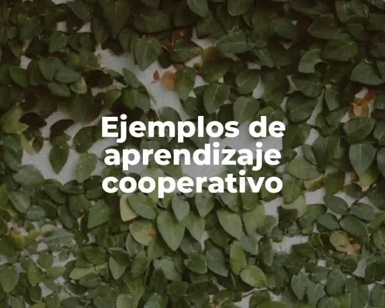 Ejemplos de aprendizaje cooperativo