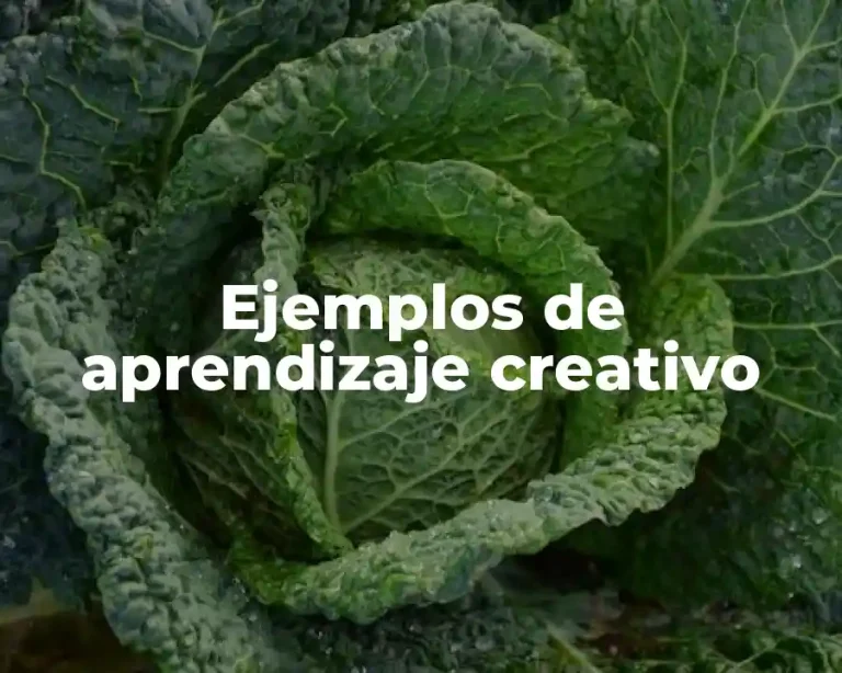 Ejemplos de aprendizaje creativo