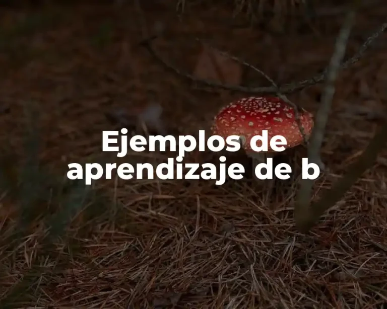 Ejemplos de aprendizaje de b