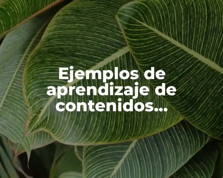 Ejemplos de aprendizaje de contenidos actitudinales y Significado